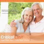 Critical Cash brochure screenshot closeup
