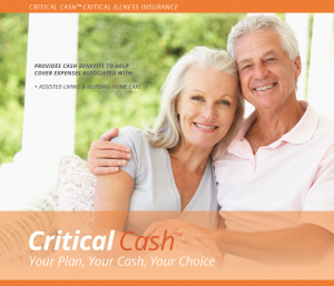 Critical Cash brochure screenshot closeup
